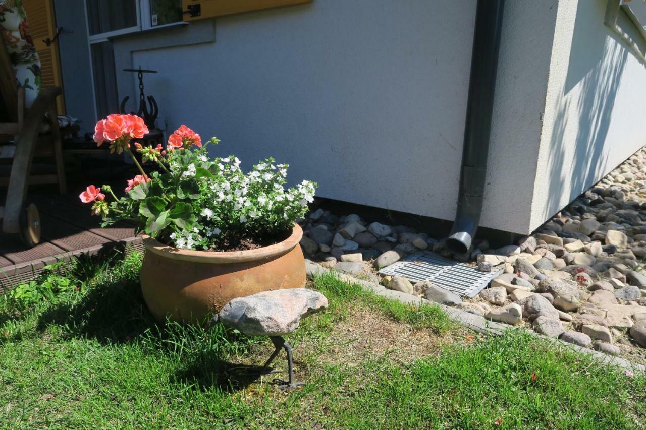 Apartmenti Zvejniekciema Саулкрасты Экстерьер фото
